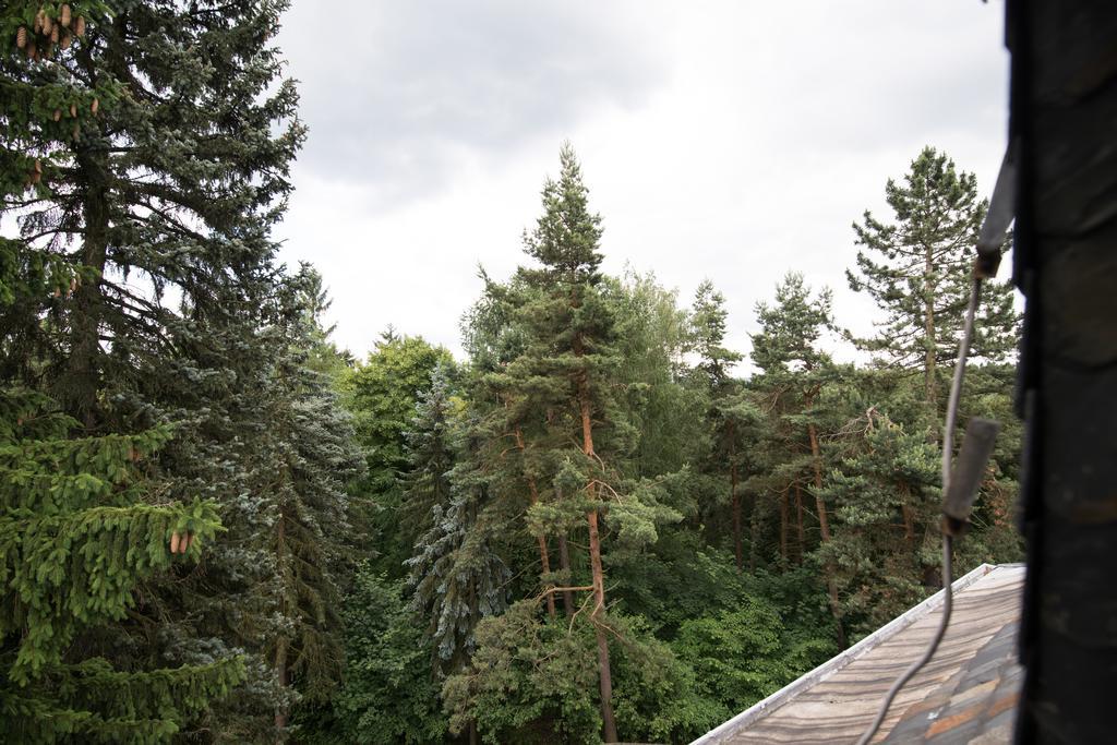 Villa Augustusberg Petrovice  Eksteriør billede