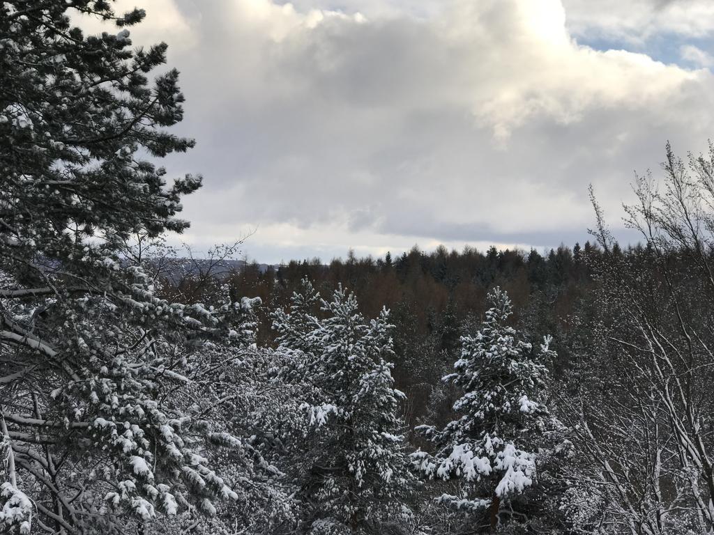 Villa Augustusberg Petrovice  Eksteriør billede